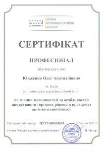 Профессионал по применению торговых решений
