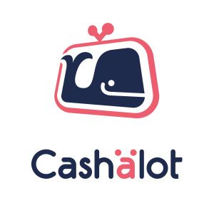 Вышло обновление Cashаlot 01.00.087