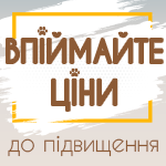 Поймайте цены до повышения