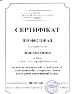 Профессионал по применению бухгалтерских решений
