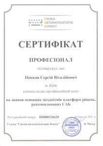 Профессионал основных механизмов платформ решений, рекомендованных САБ