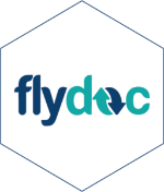 Новинка - FlyDoc