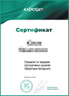 Фахівець з продажу корпоративних рішень Лабораторії Касперського